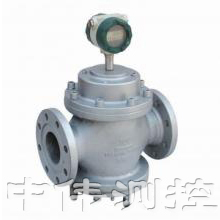 智能雙轉子流量計